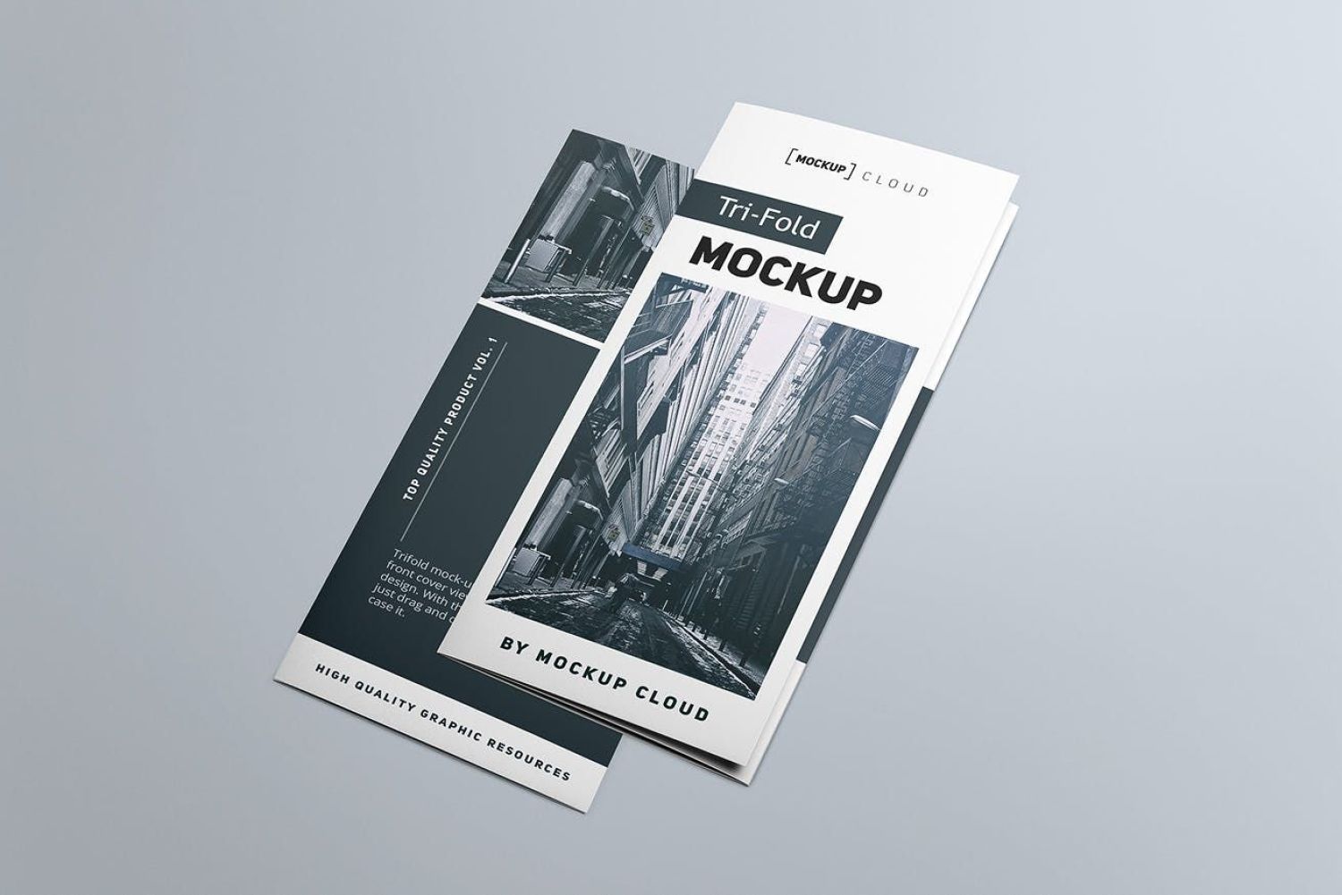三折小册子样机 Tri fold Brochure Mockup插图3