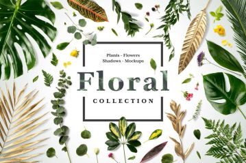 花卉场景样机集合 Floral Mockups Collection
