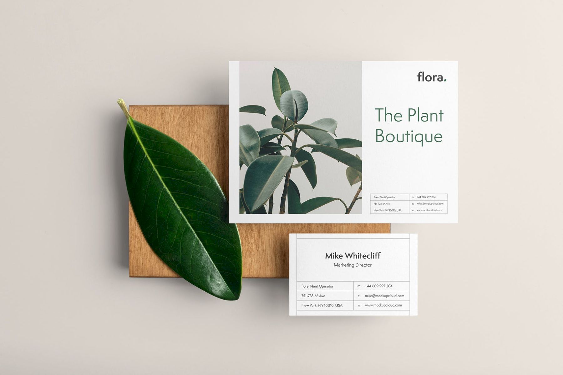 植物群品牌样机 Flora Branding Mockup插图15