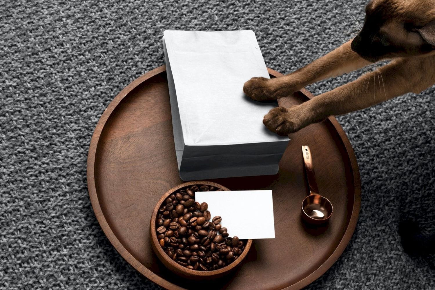 咖啡品牌样机 Roast – Coffee Branding Mockups插图32