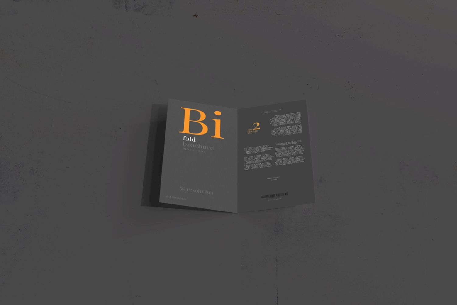 DL 尺寸双折页宣传册样机 Bi Fold DL Brochure Mockups插图7