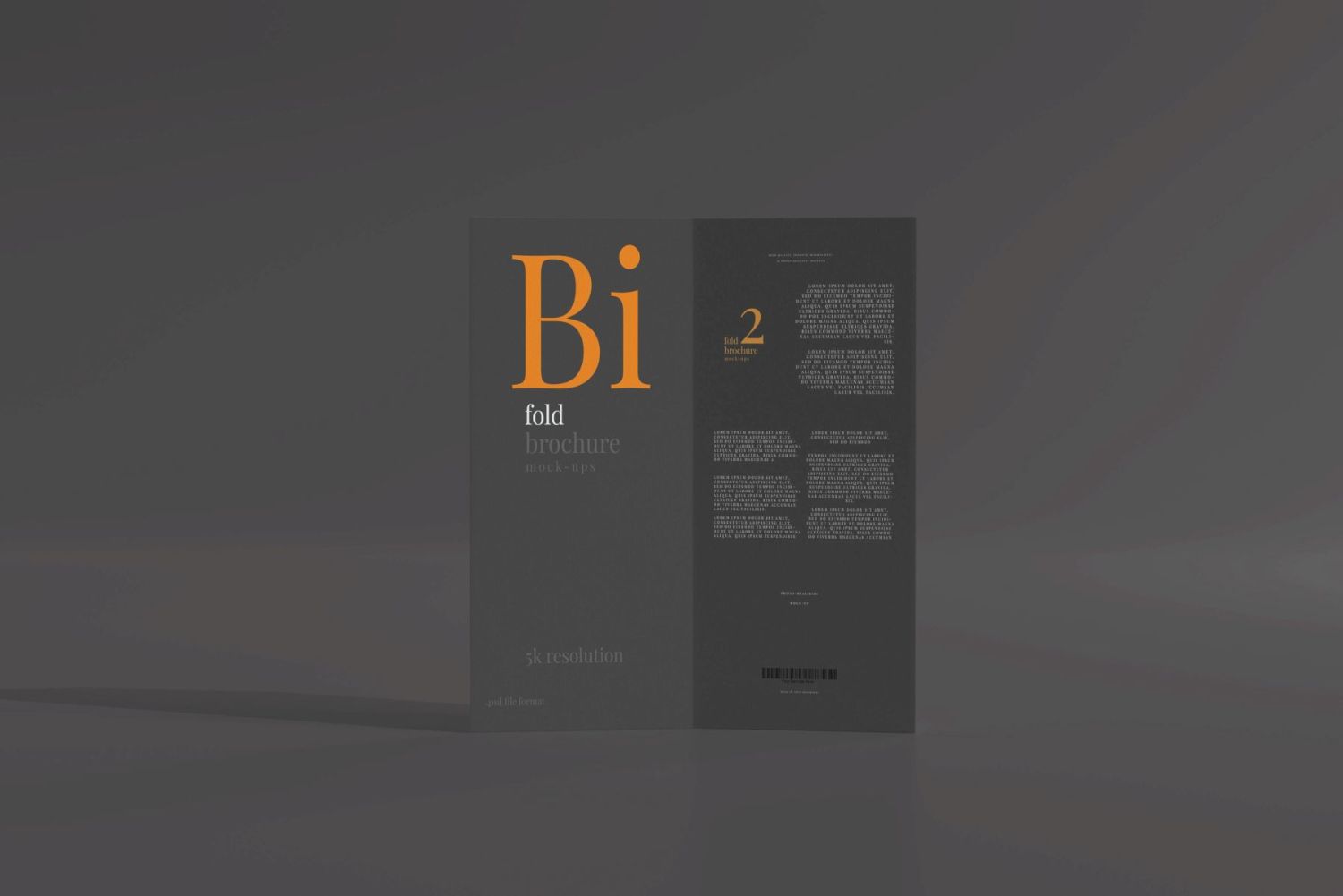 DL 尺寸双折页宣传册样机 Bi Fold DL Brochure Mockups插图11