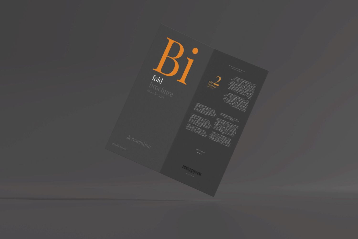 DL 尺寸双折页宣传册样机 Bi Fold DL Brochure Mockups插图30