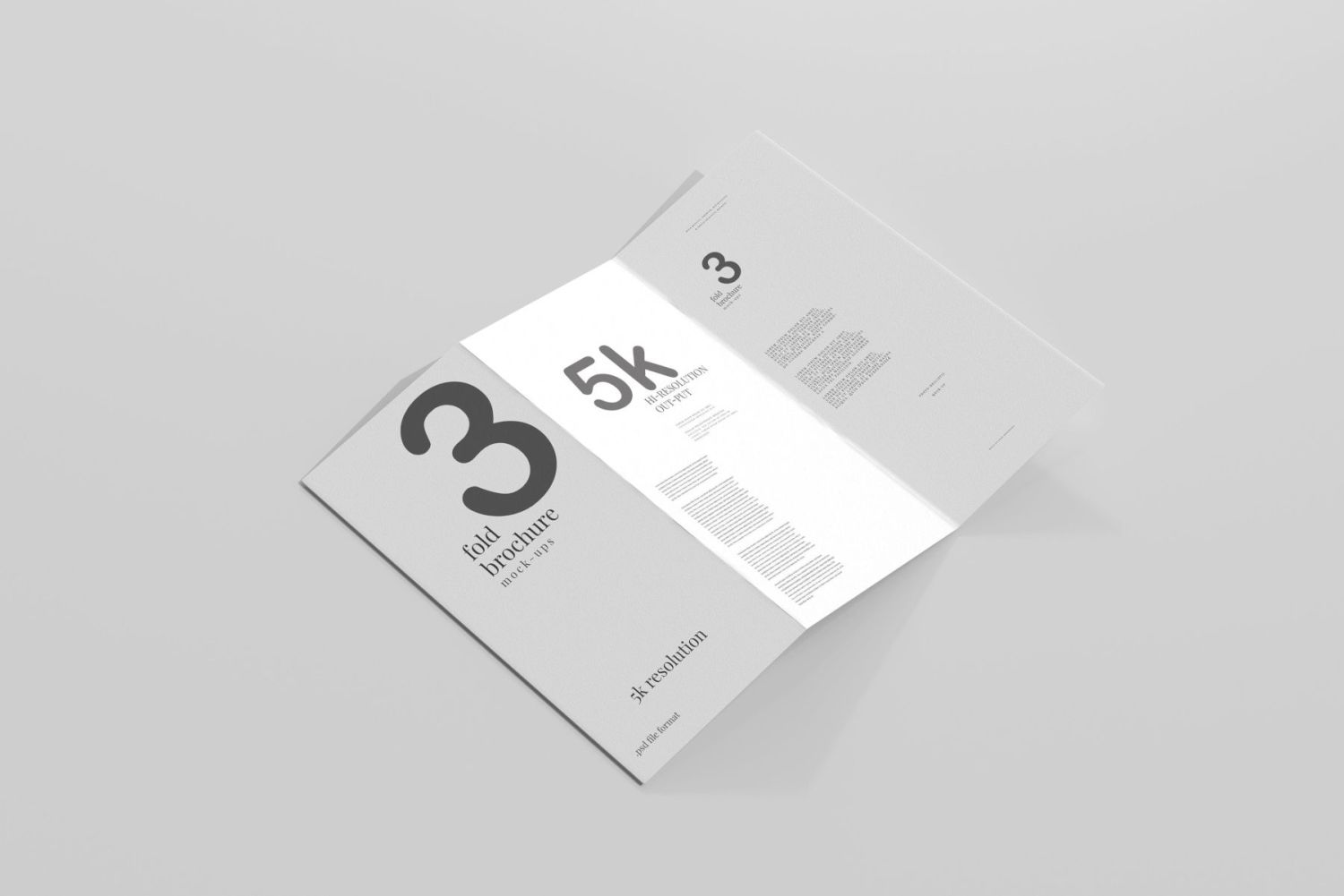 DL 尺寸三折页宣传册样机 Tri Fold DL Brochure Mockups插图2