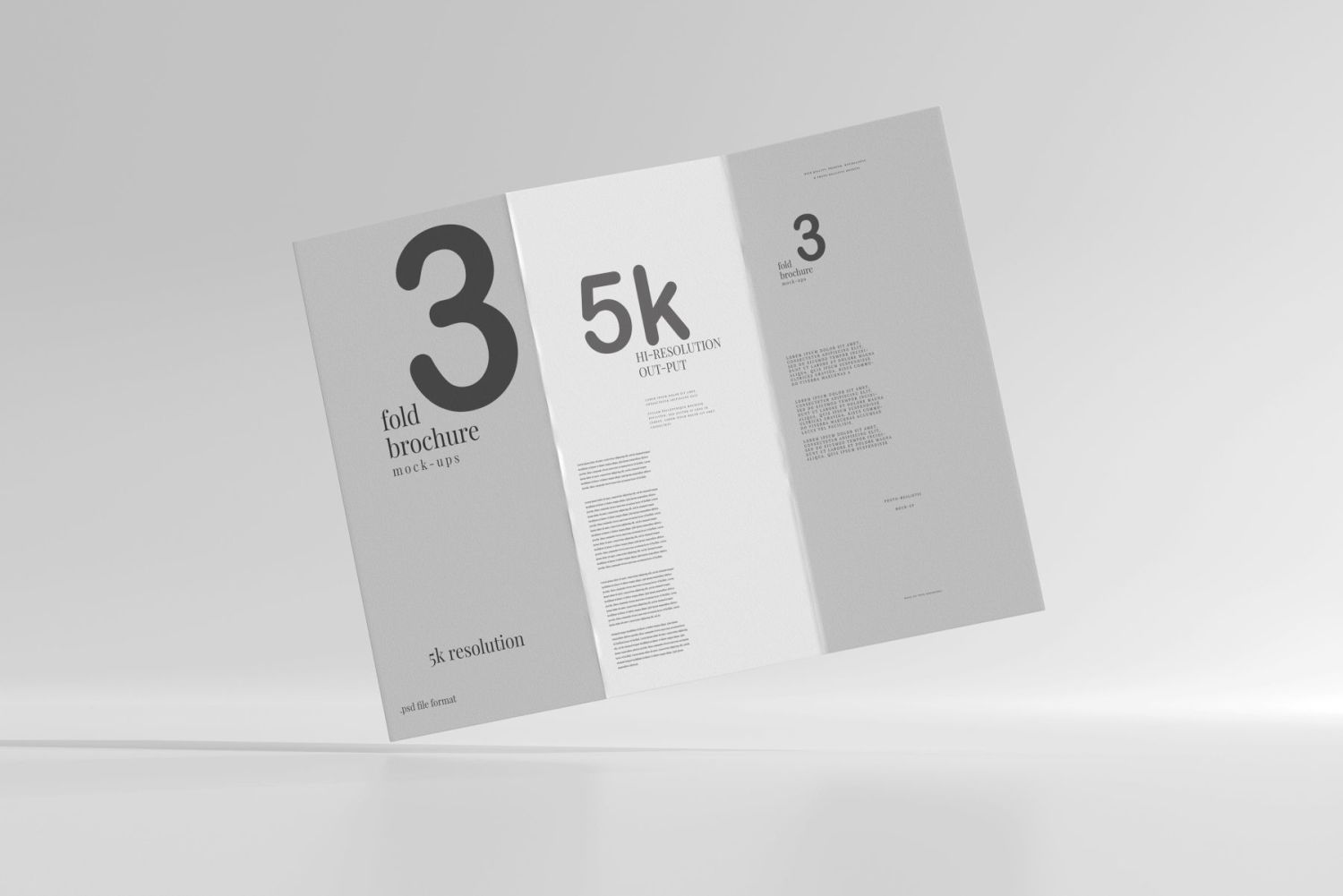 DL 尺寸三折页宣传册样机 Tri Fold DL Brochure Mockups插图7