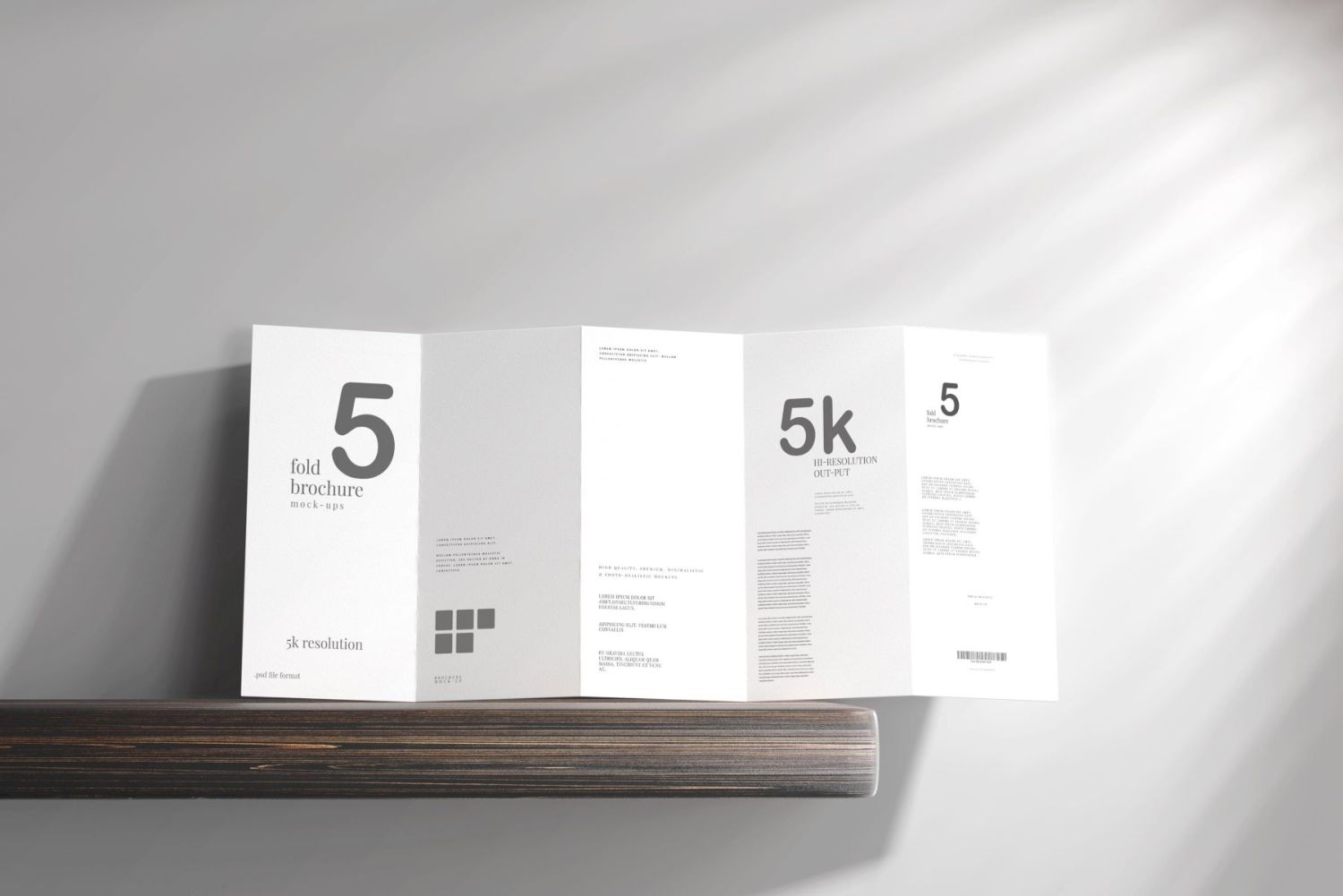 DL 尺寸五折页宣传册样机 Five Fold DL Brochure Mockups插图7