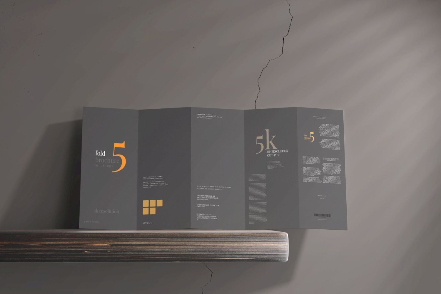 DL 尺寸五折页宣传册样机 Five Fold DL Brochure Mockups插图8