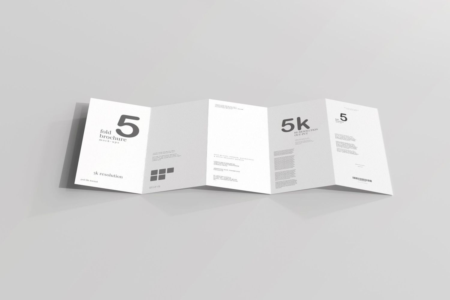 DL 尺寸五折页宣传册样机 Five Fold DL Brochure Mockups插图29