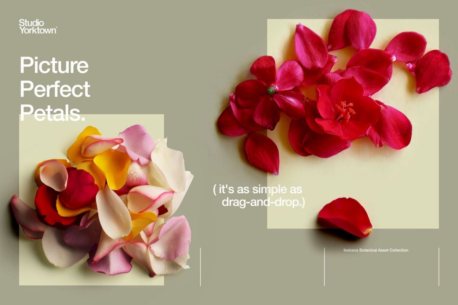 插花花卉和植物样机资源 Ikebana Floral and Botanical Asset Collection插图3