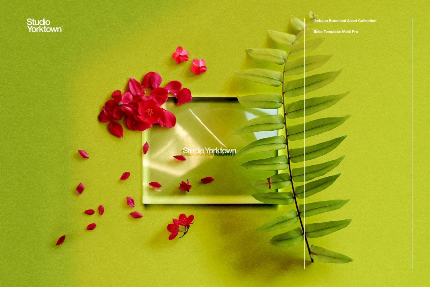 插花花卉和植物样机资源 Ikebana Floral and Botanical Asset Collection插图10