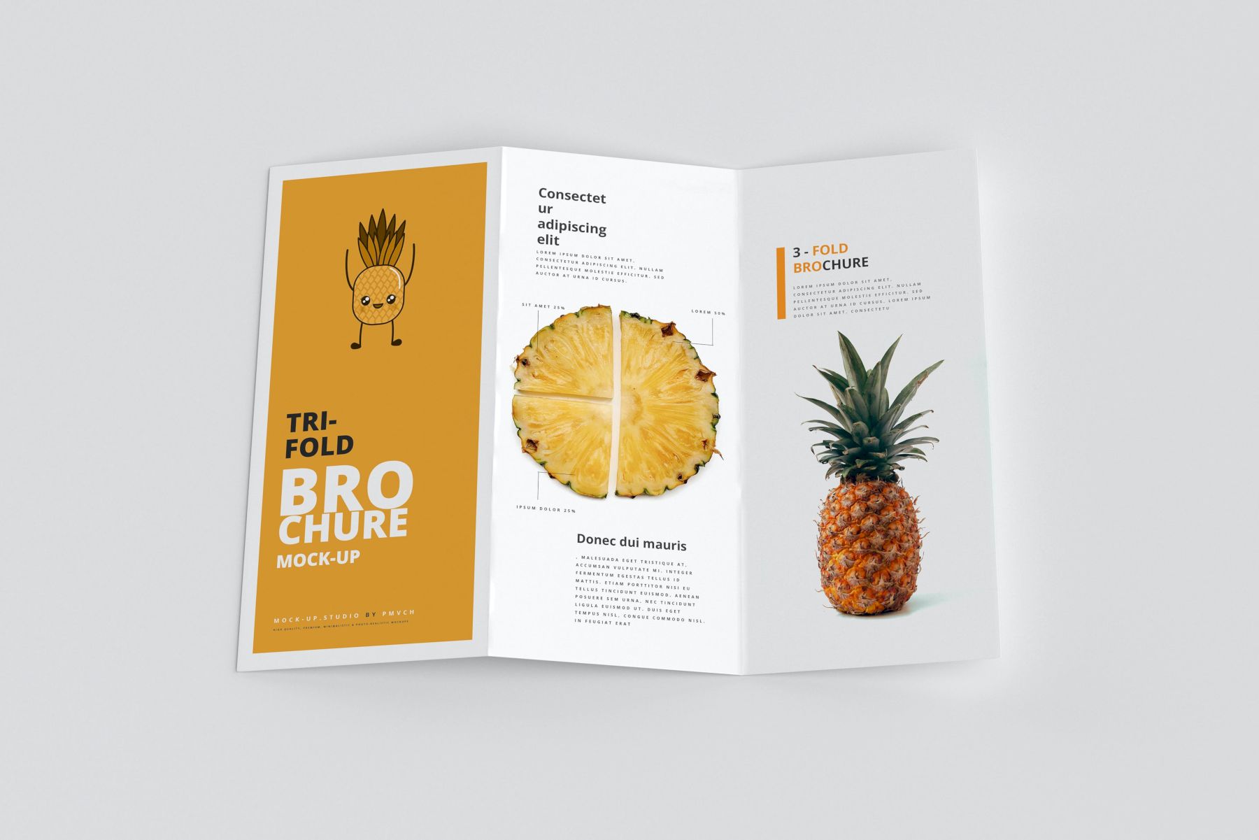 DL尺寸三折页小册子样机 DL Tri-Fold Brochure Mockups插图4