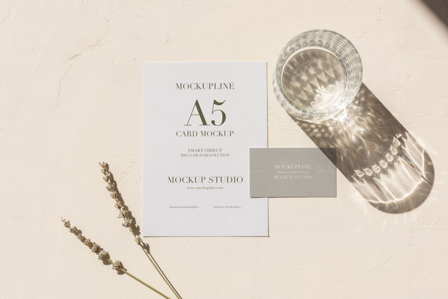 品牌邀请卡和 A5 样机 Branding Invitation Card & A5 Mockup插图1
