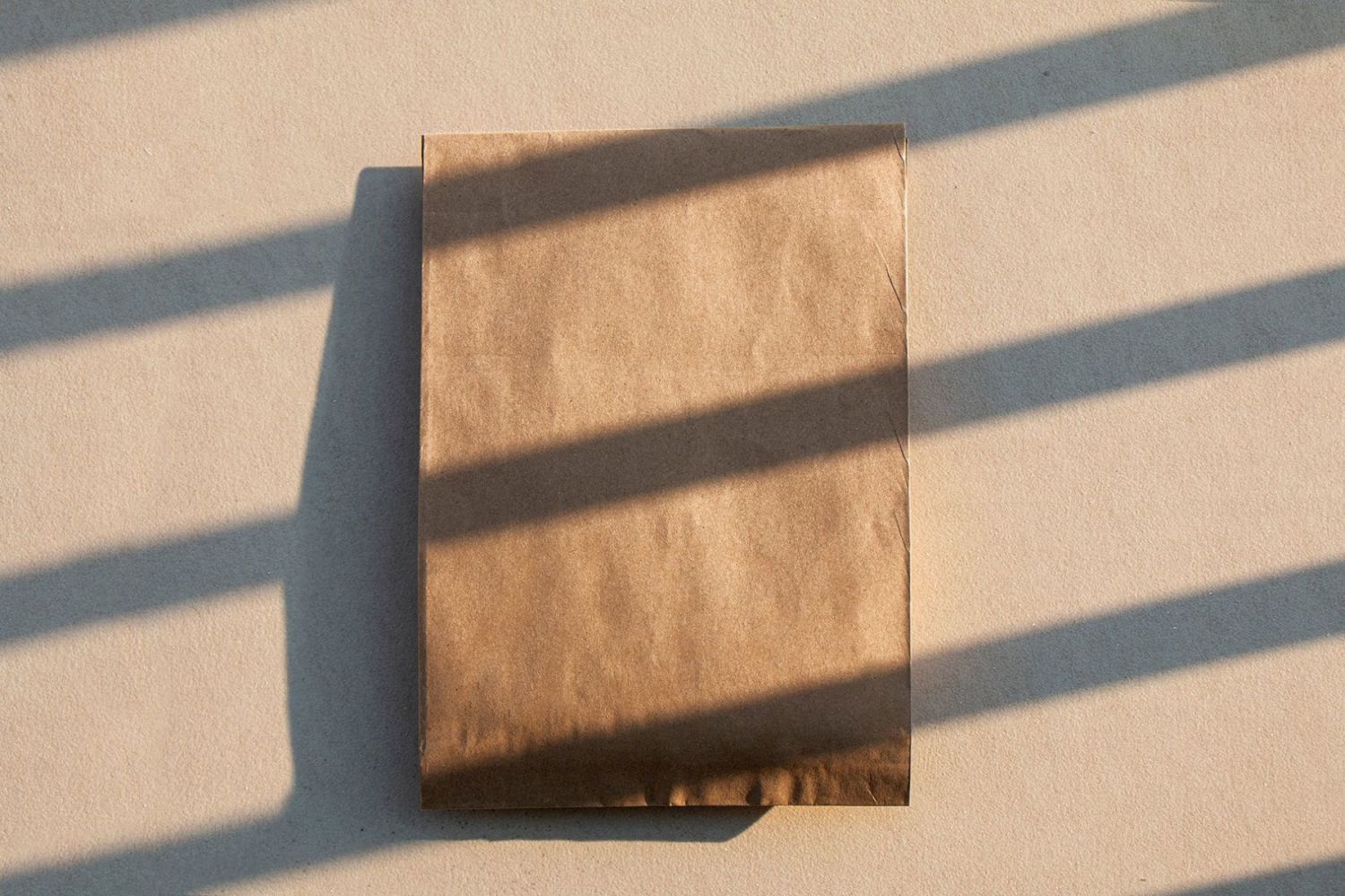 棕色纸袋样机 Brown Bag Mockup插图1